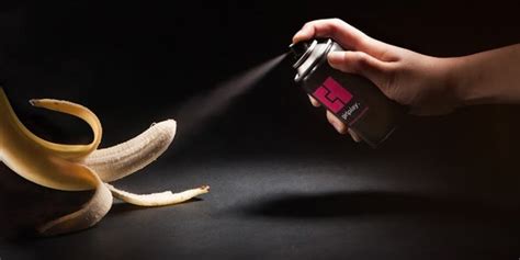 Blowjob without Condom Erotic massage Gojar
